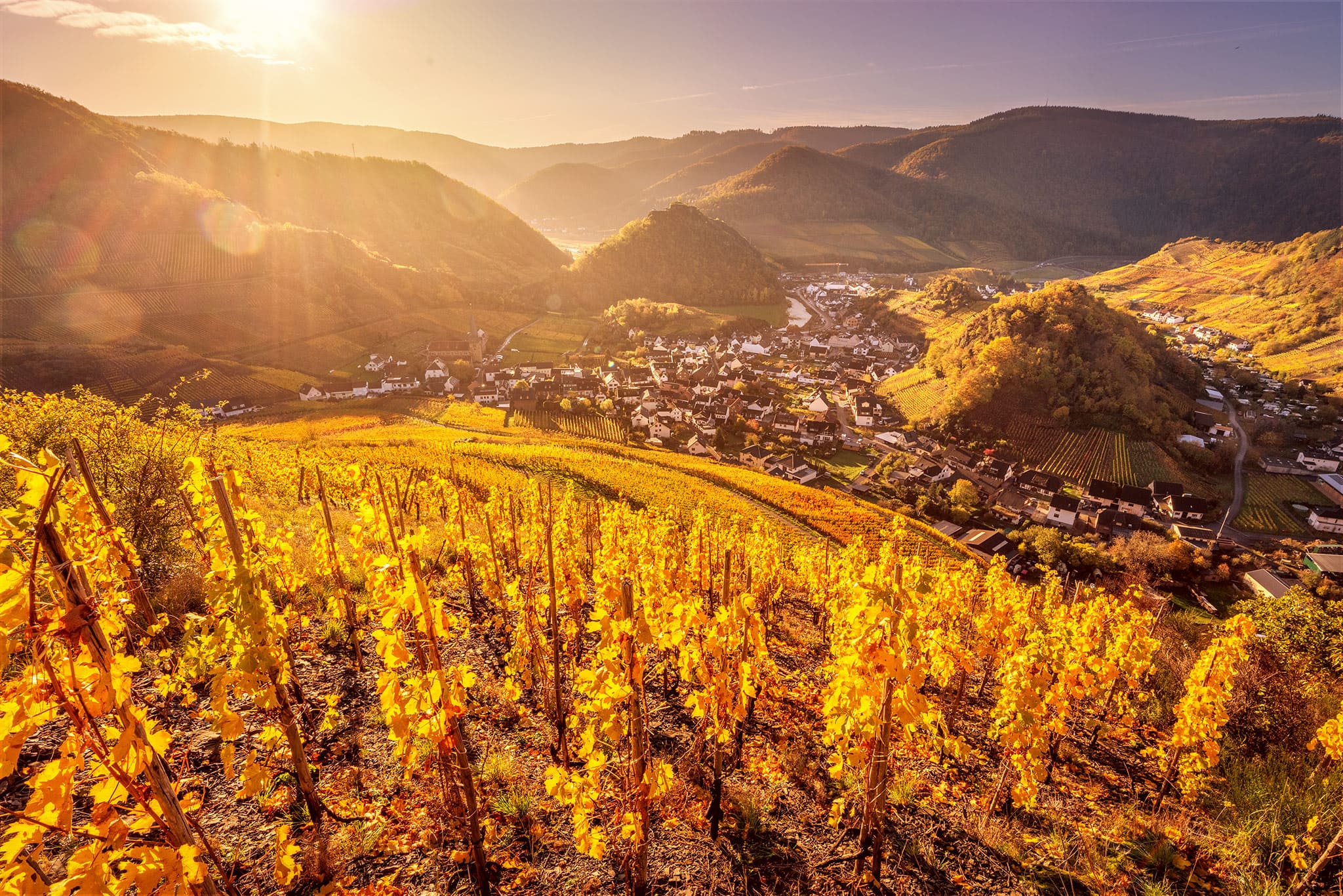 Goldener Herbstblick auf Mayschoss im Ahrtal – Kai Schneiders